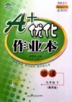 A+優(yōu)化作業(yè)本九年級下物理河北科學(xué)技術(shù)出版社