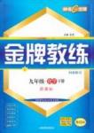 金牌教練九年級(jí)下化學(xué)吉林教育出版社