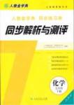 2015 人教金学典同步解析与测评九年级下册化学人教版