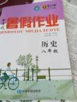 2017年金博優暑假作業八年級歷史
