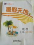 2017年桂壯紅皮書暑假天地七年級數學北師大版河北少年兒童出版社