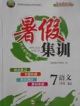 2017年暑假集訓(xùn)七年級(jí)語(yǔ)文蘇教版合肥工業(yè)大學(xué)出版社