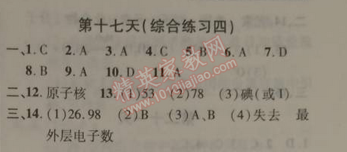 2015年快樂寒假九年級化學北京課改版 第十七天