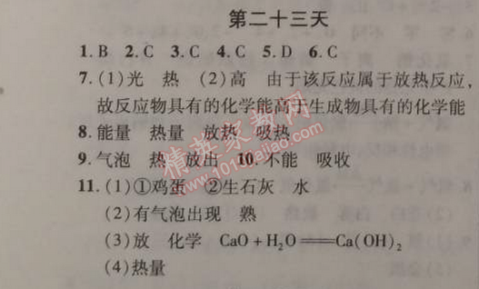 2015年快樂寒假九年級化學北京課改版 第二十三天