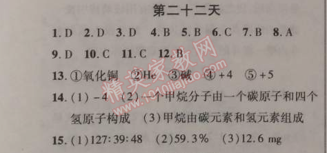 2015年快樂寒假九年級(jí)化學(xué)人教課標(biāo)版 第二十二天