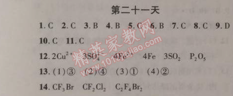 2015年快樂寒假九年級化學人教課標版 第二十一天