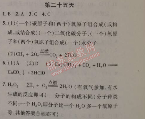 2015年快樂(lè)寒假九年級(jí)化學(xué)人教課標(biāo)版 第二十五天