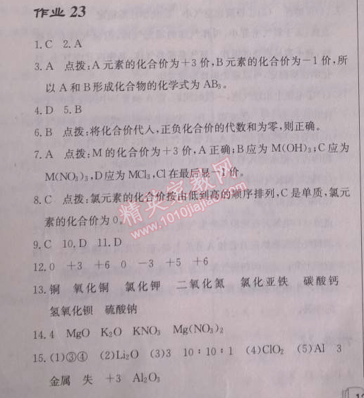 2014年启东中学作业本九年级化学上册人教版 作业23