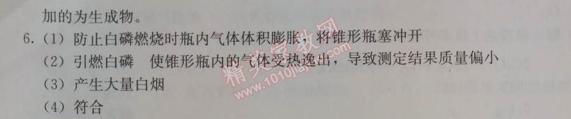 2014年學(xué)習(xí)探究診斷九年級化學(xué)上冊人教版 第五單元