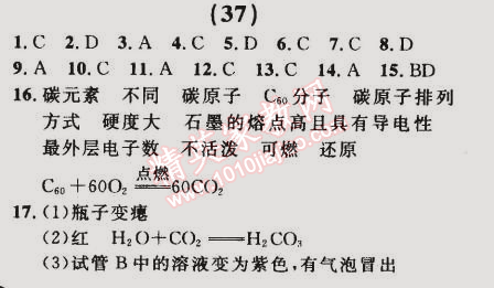 2014年誠(chéng)成教育學(xué)業(yè)評(píng)價(jià)九年級(jí)化學(xué)上冊(cè)人教版 (37)