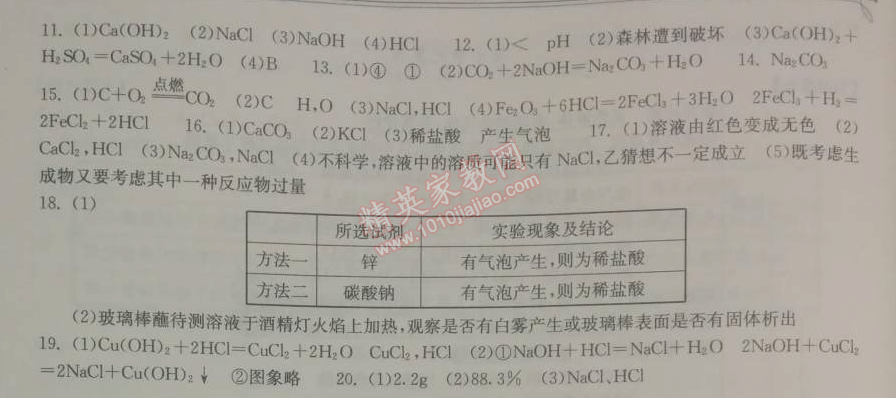 2014年长江作业本同步练习册九年级化学下册人教版 第十单元检测题