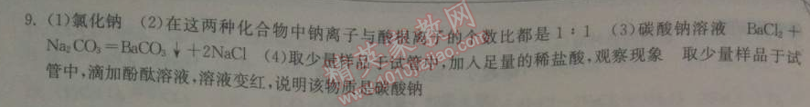 2014年長江作業(yè)本同步練習冊九年級化學(xué)下冊人教版 第十一單元