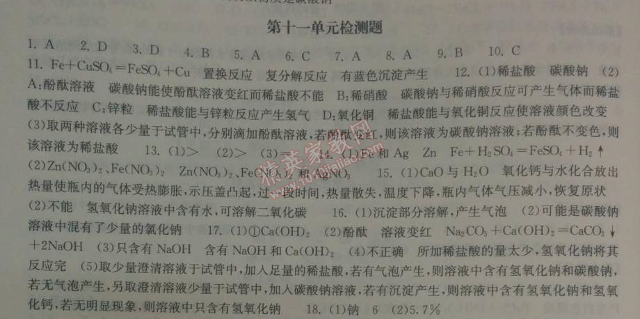 2014年长江作业本同步练习册九年级化学下册人教版 第十一单元检测题