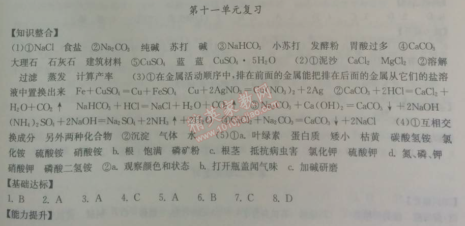 2014年長江作業(yè)本同步練習冊九年級化學(xué)下冊人教版 第十一單元