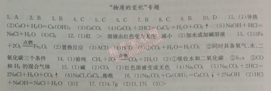 2014年长江作业本同步练习册九年级化学下册人教版 综合复习专题