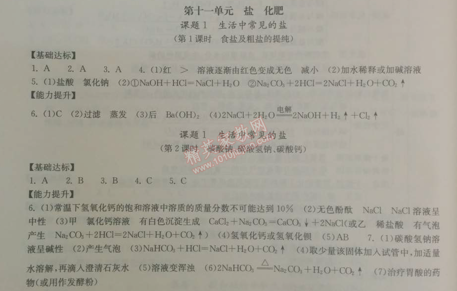 2014年長江作業(yè)本同步練習冊九年級化學(xué)下冊人教版 第十一單元