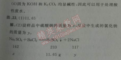 2014年综合应用创新题典中点九年级化学下册人教版 第十一单元测试卷