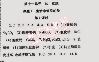 2015年金榜行動(dòng)九年級(jí)化學(xué)下冊(cè)人教版 第十一單元