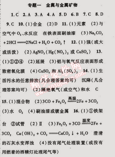 2015年金榜行動九年級化學(xué)下冊人教版 專題一