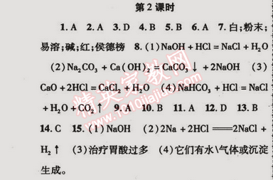 2015年金榜行動(dòng)九年級(jí)化學(xué)下冊(cè)人教版 第2課時(shí)