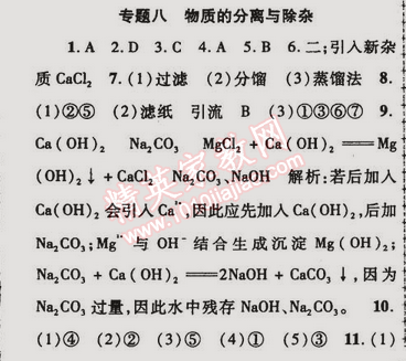 2015年金榜行動(dòng)九年級化學(xué)下冊人教版 專題八