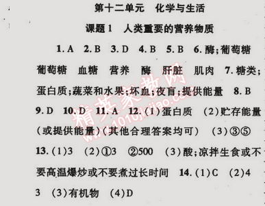 2015年金榜行動九年級化學下冊人教版 第十二單元