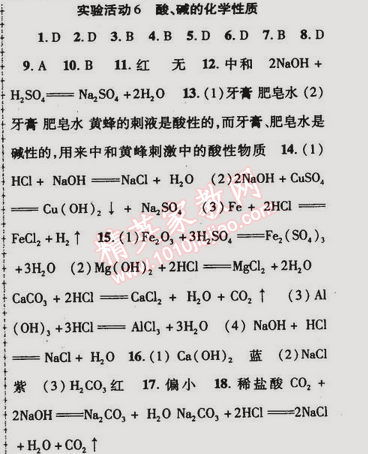 2015年金榜行動(dòng)九年級(jí)化學(xué)下冊(cè)人教版 實(shí)驗(yàn)活動(dòng)6