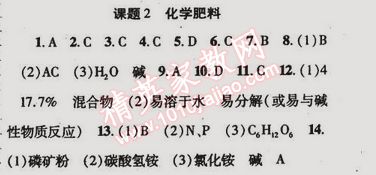 2015年金榜行動九年級化學(xué)下冊人教版 課題2