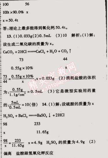 2015年金榜行動九年級化學下冊人教版 專題六