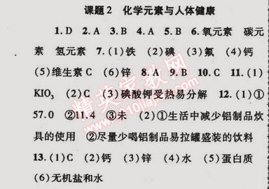 2015年金榜行動九年級化學(xué)下冊人教版 課題2