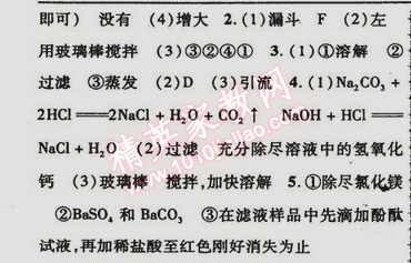 2015年金榜行動(dòng)九年級(jí)化學(xué)下冊人教版 實(shí)驗(yàn)活動(dòng)8