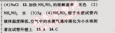 2015年金榜行動(dòng)九年級(jí)化學(xué)下冊(cè)人教版 第九單元