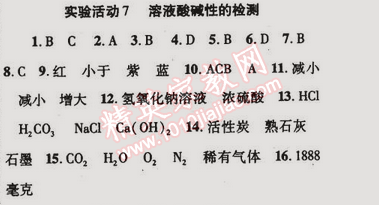 2015年金榜行動九年級化學(xué)下冊人教版 實驗活動7