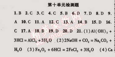 2015年金榜行動(dòng)九年級(jí)化學(xué)下冊(cè)人教版 第十單元檢測(cè)題