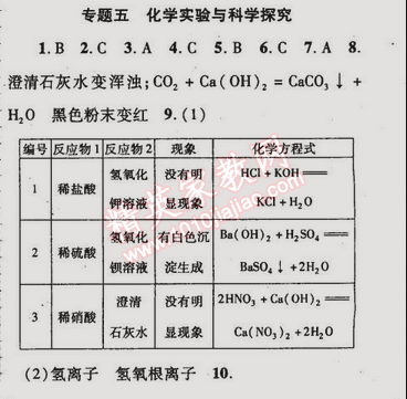 2015年金榜行動(dòng)九年級(jí)化學(xué)下冊(cè)人教版 專題五