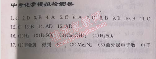 2014年啟東中學作業(yè)本九年級化學下冊人教版 中考模擬檢測卷