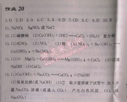 2014年啟東中學(xué)作業(yè)本九年級(jí)化學(xué)下冊(cè)人教版 作業(yè)20