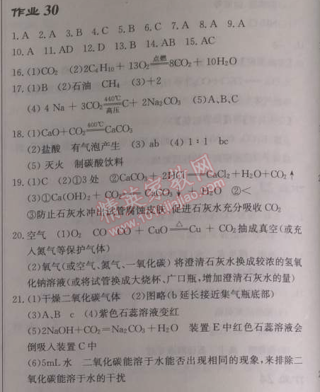 2014年啟東中學(xué)作業(yè)本九年級化學(xué)下冊人教版 作業(yè)30