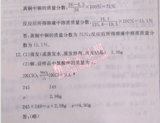 2014年啟東中學(xué)作業(yè)本九年級化學(xué)下冊人教版 作業(yè)11