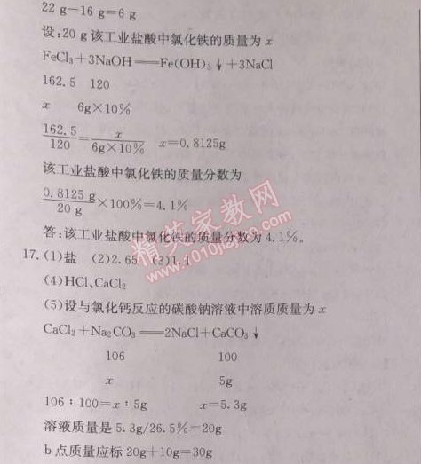 2014年启东中学作业本九年级化学下册人教版 作业41