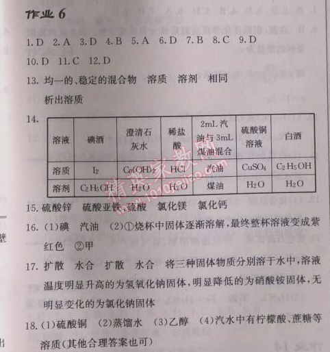 2014年启东中学作业本九年级化学下册人教版 作业6