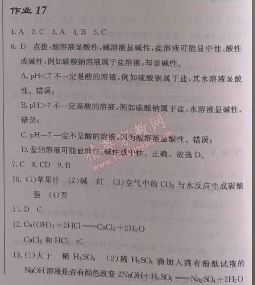 2014年啟東中學(xué)作業(yè)本九年級(jí)化學(xué)下冊(cè)人教版 作業(yè)17