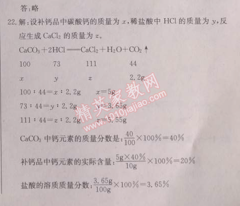 2014年啟東中學(xué)作業(yè)本九年級化學(xué)下冊人教版 第九單元檢測卷