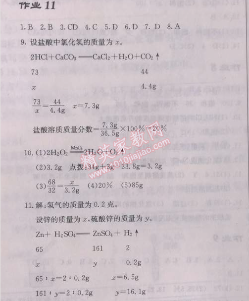 2014年啟東中學(xué)作業(yè)本九年級化學(xué)下冊人教版 作業(yè)11