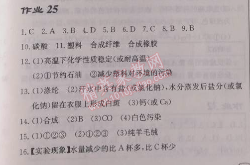 2014年啟東中學(xué)作業(yè)本九年級(jí)化學(xué)下冊(cè)人教版 作業(yè)25