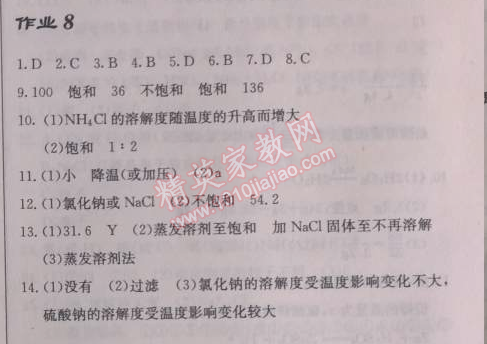 2014年啟東中學(xué)作業(yè)本九年級(jí)化學(xué)下冊(cè)人教版 作業(yè)8