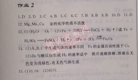 2014年啟東中學(xué)作業(yè)本九年級(jí)化學(xué)下冊(cè)人教版 作業(yè)2