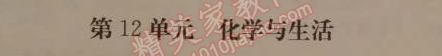 2014年1加1轻巧夺冠优化训练九年级化学下册人教版银版 第十二单元