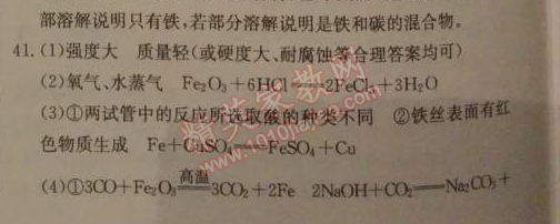 2014年1加1轻巧夺冠优化训练九年级化学下册人教版银版 课题3