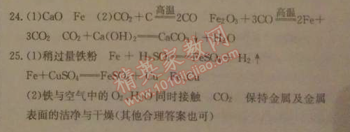 2014年1加1轻巧夺冠优化训练九年级化学下册人教版银版 第二学期期中测试题